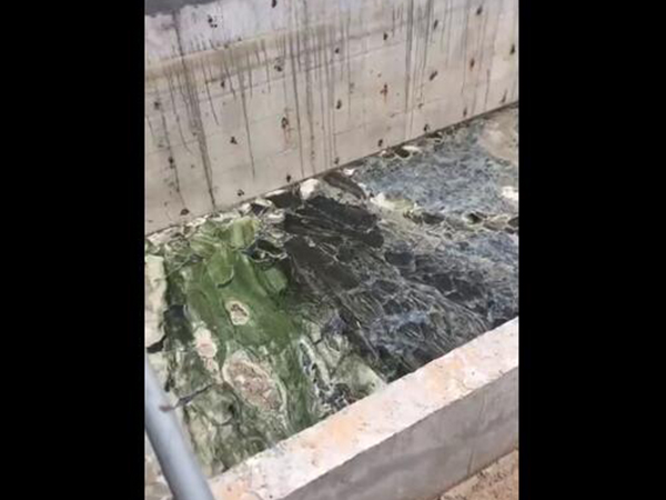 食品廠污水處理效果